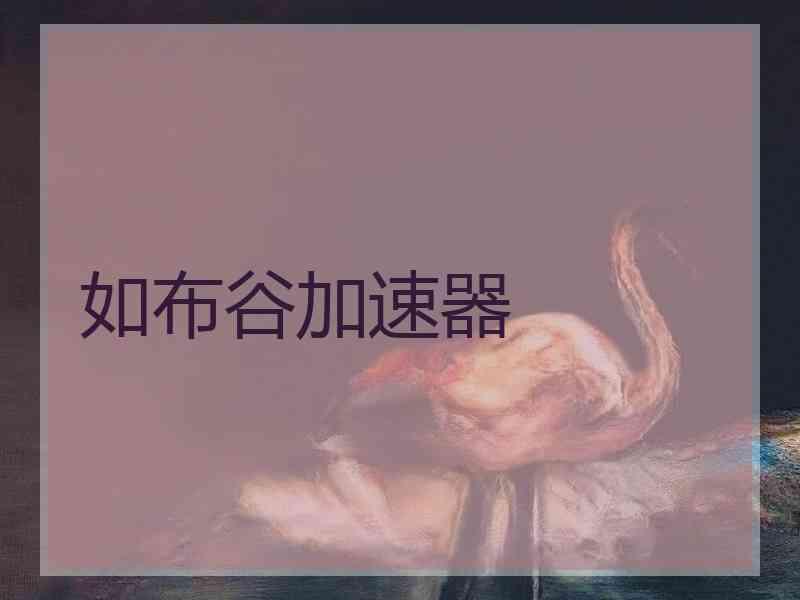 如布谷加速器