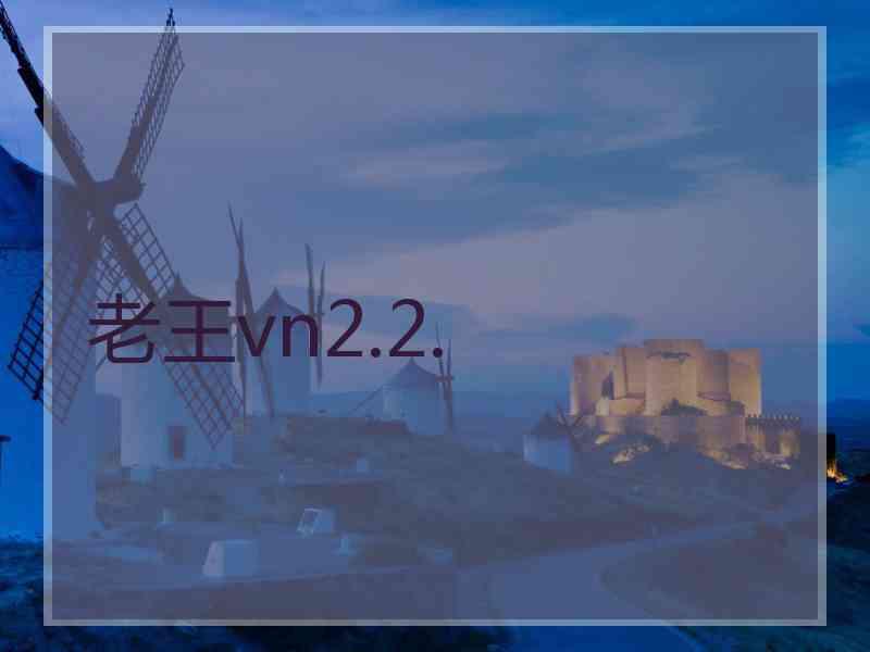 老王vn2.2.
