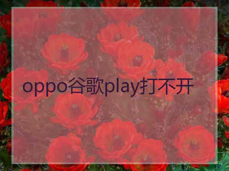 oppo谷歌play打不开