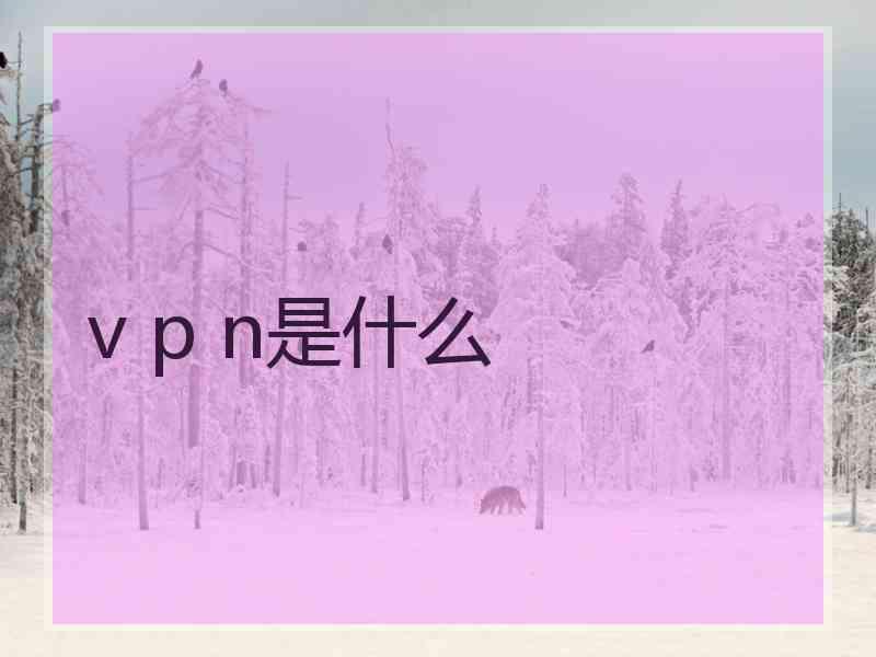 v p n是什么