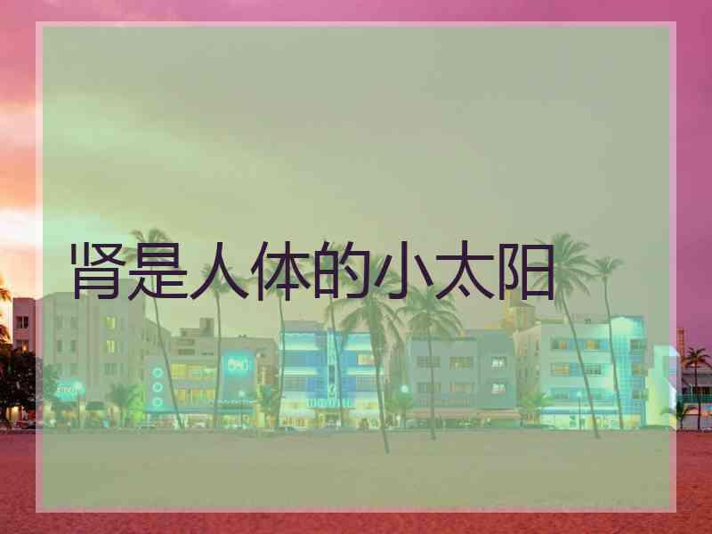 肾是人体的小太阳