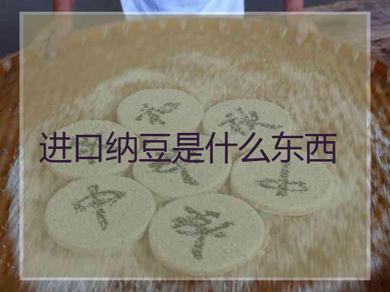 进口纳豆是什么东西