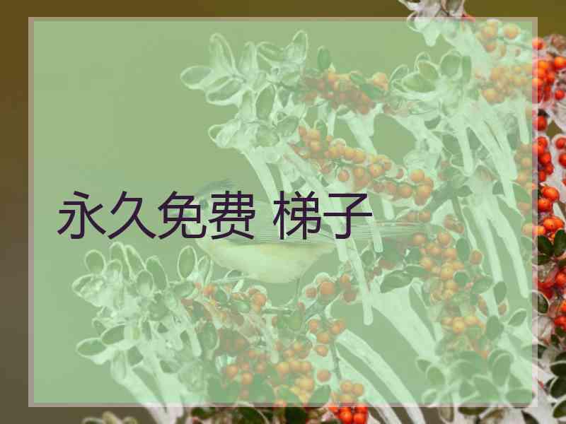 永久免费 梯子