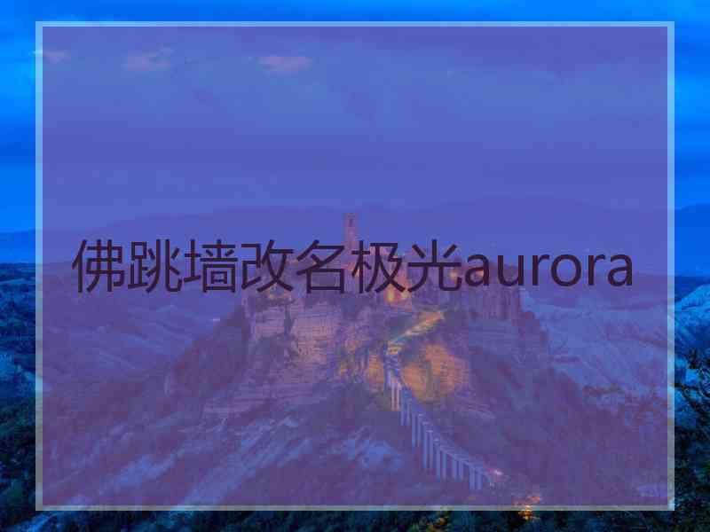 佛跳墙改名极光aurora