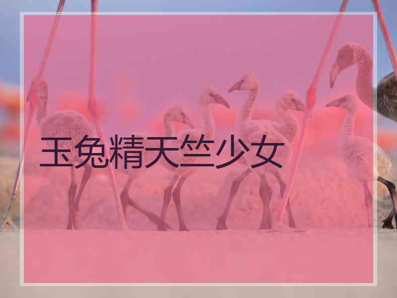 玉兔精天竺少女