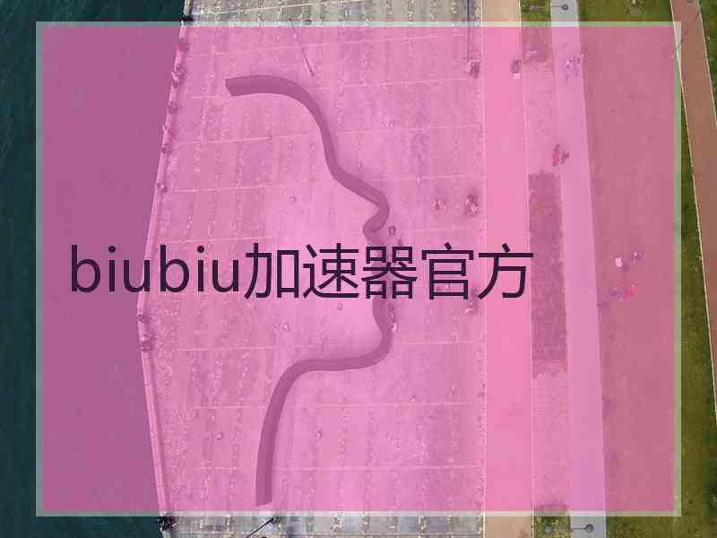 biubiu加速器官方