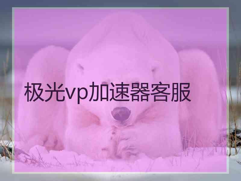 极光vp加速器客服