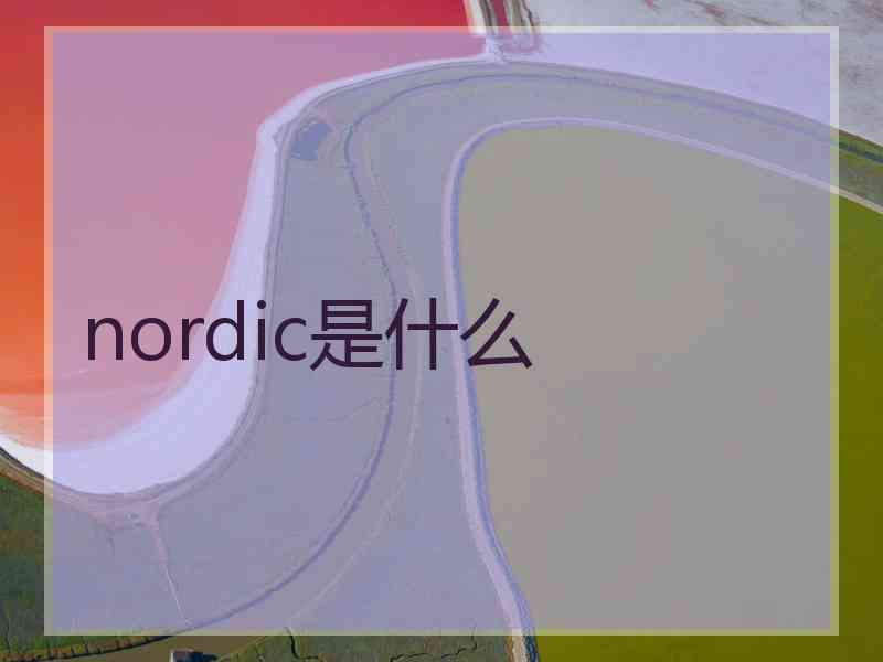 nordic是什么