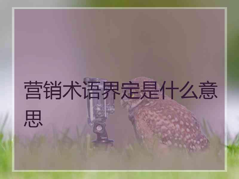营销术语界定是什么意思