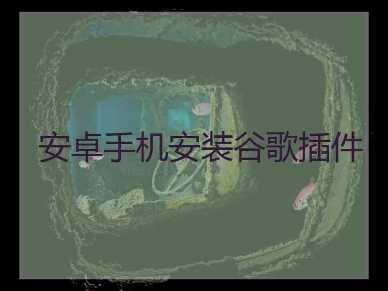 安卓手机安装谷歌插件