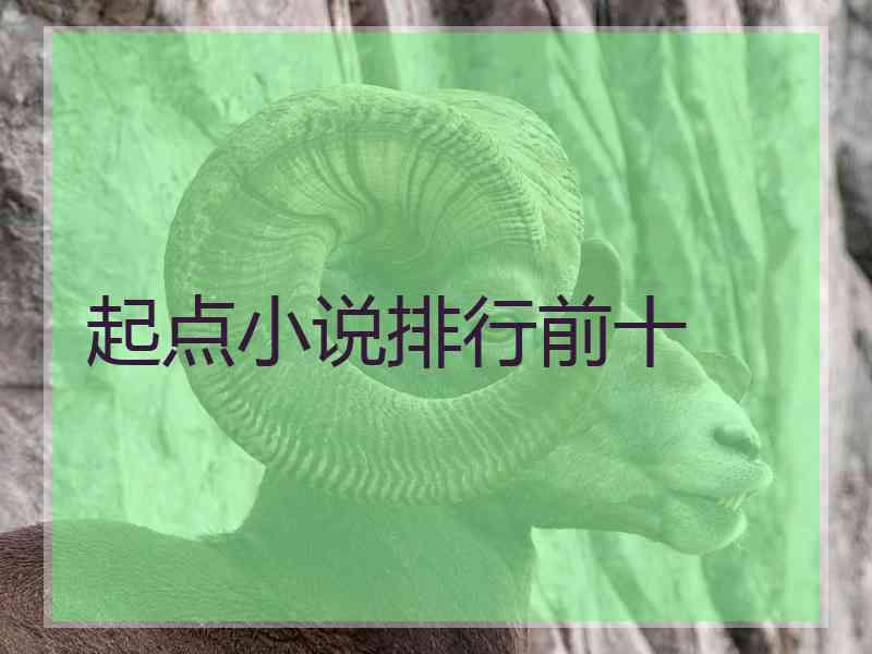 起点小说排行前十