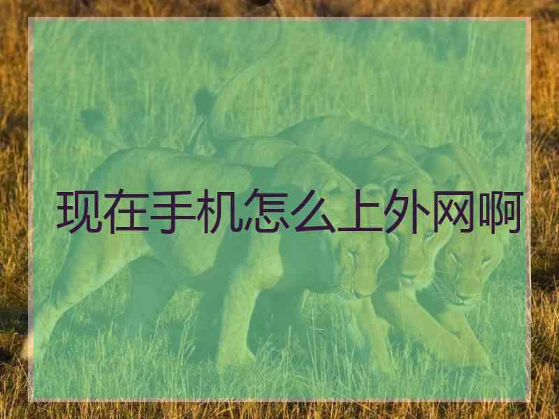 现在手机怎么上外网啊