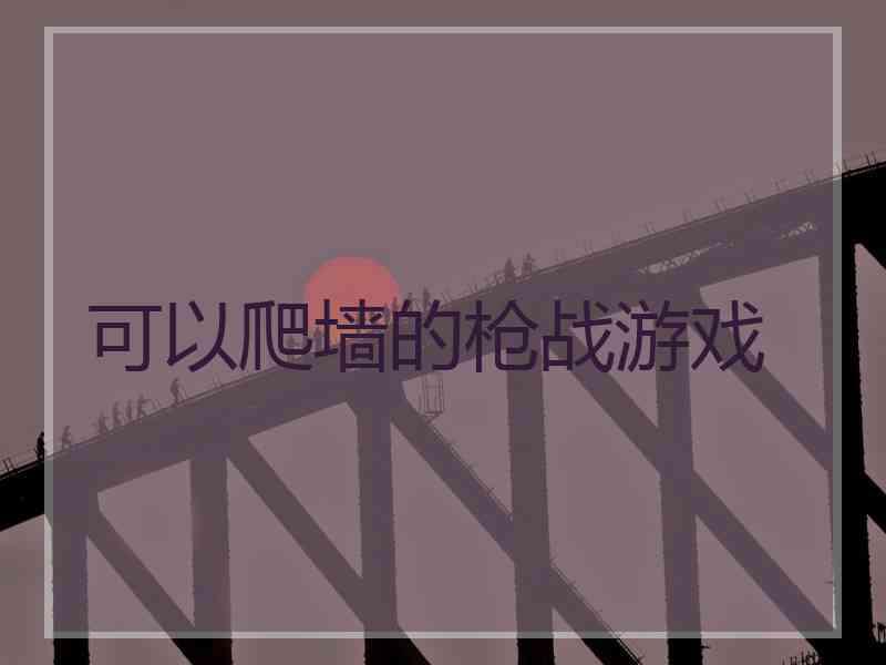 可以爬墙的枪战游戏