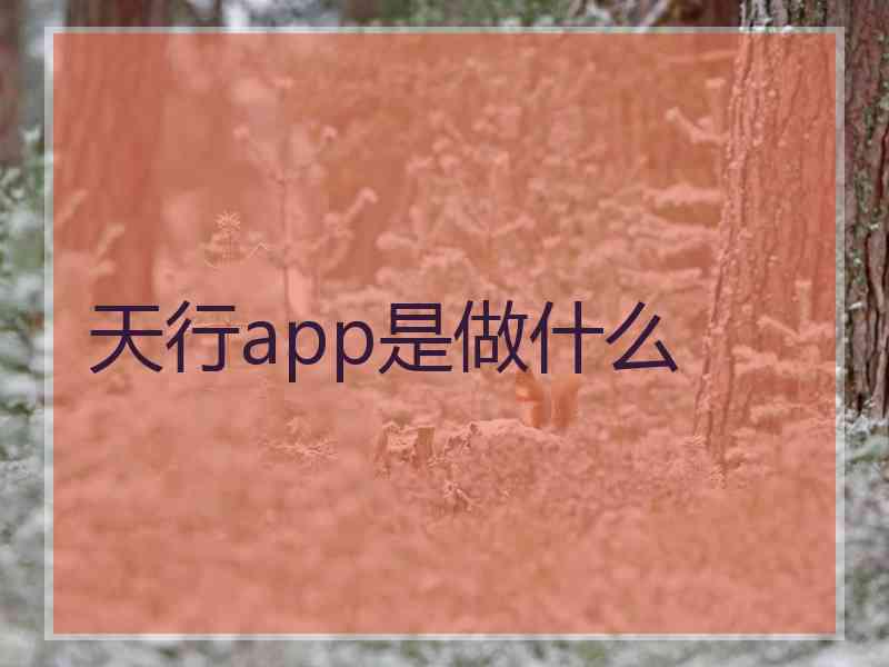 天行app是做什么