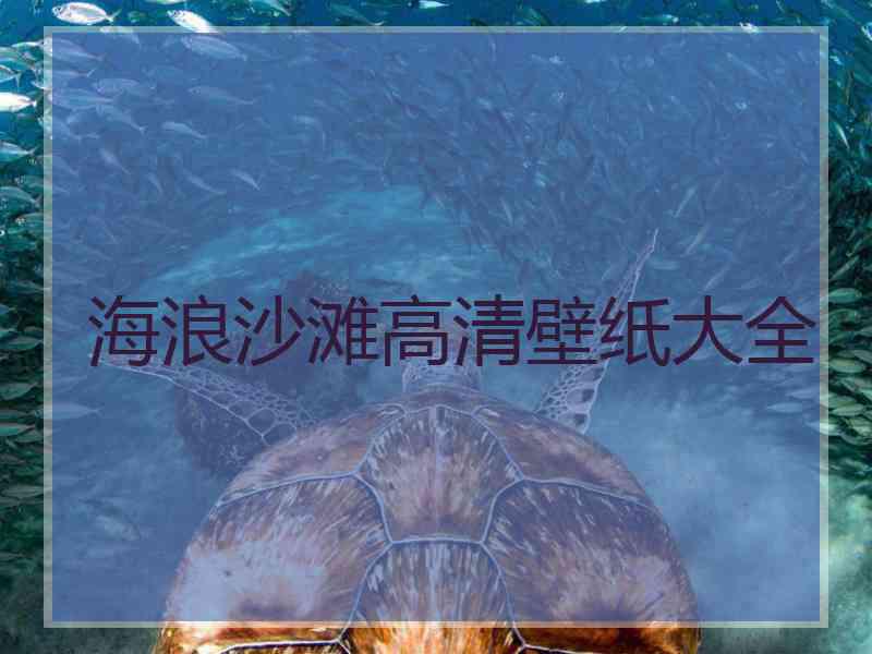 海浪沙滩高清壁纸大全