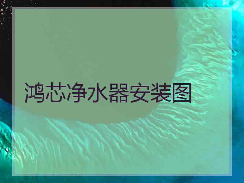 鸿芯净水器安装图