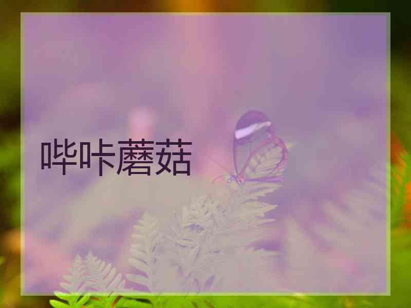 哔咔蘑菇