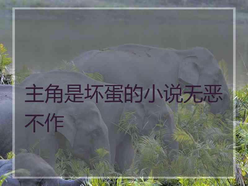 主角是坏蛋的小说无恶不作