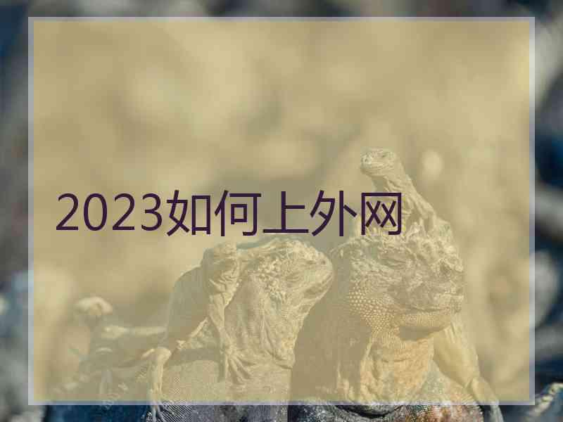 2023如何上外网