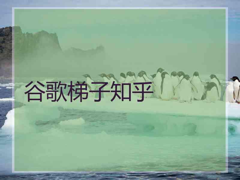 谷歌梯子知乎