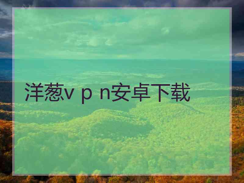 洋葱v p n安卓下载