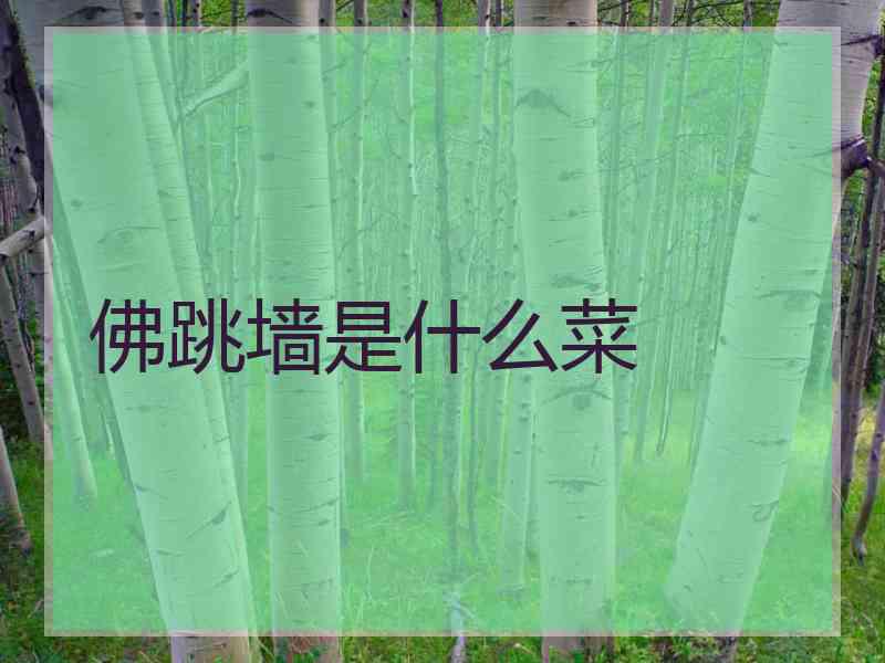 佛跳墙是什么菜