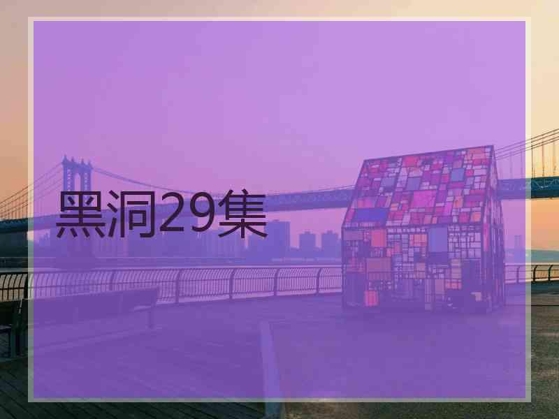 黑洞29集