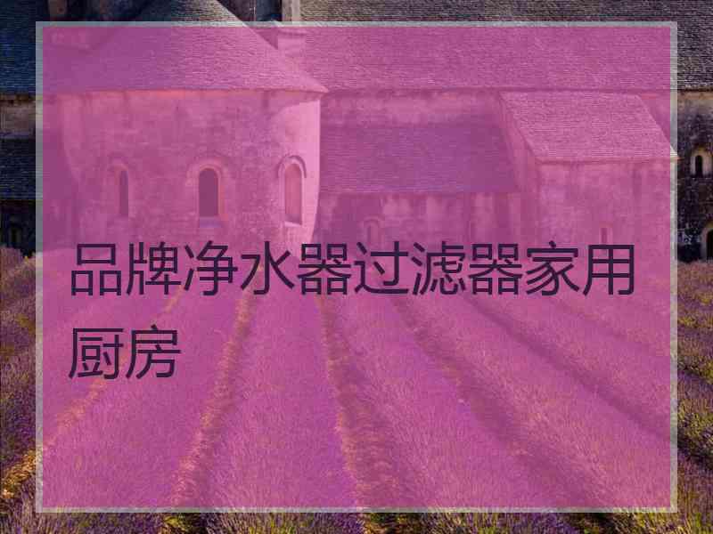 品牌净水器过滤器家用厨房
