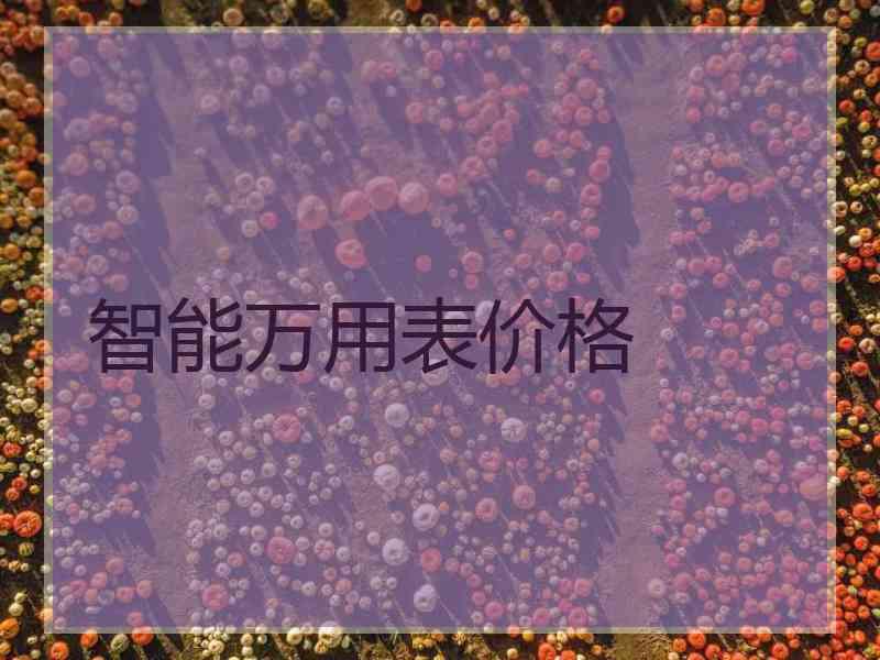 智能万用表价格