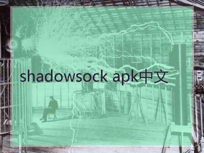 shadowsock apk中文