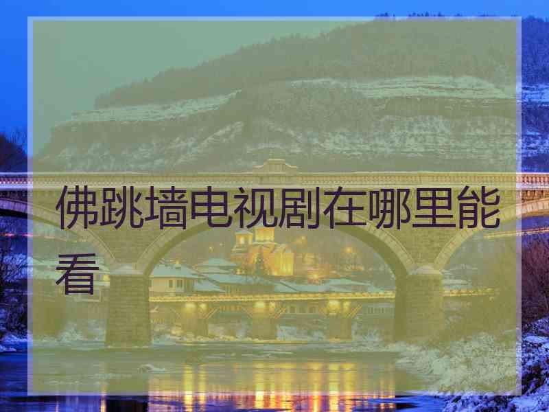 佛跳墙电视剧在哪里能看