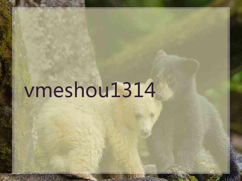vmeshou1314