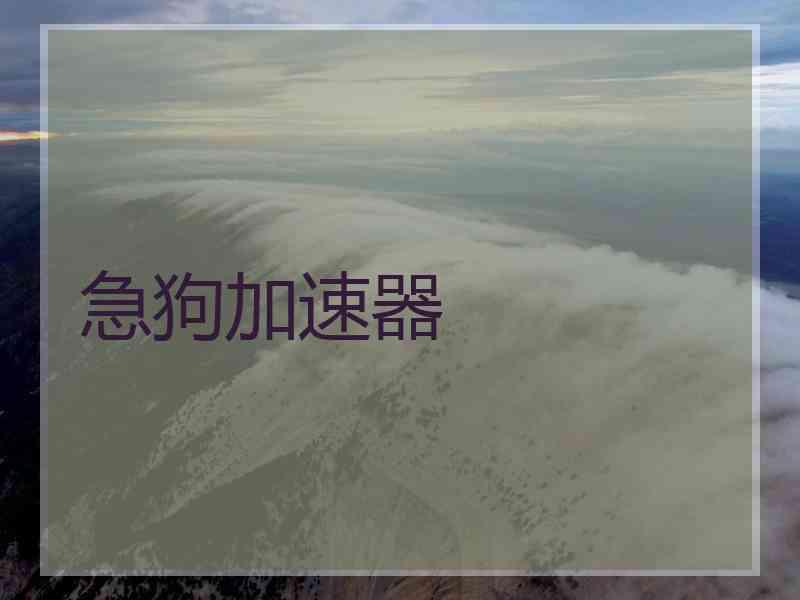 急狗加速器