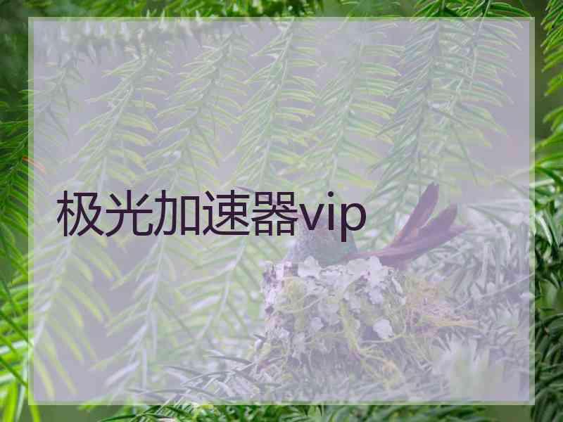 极光加速器vip