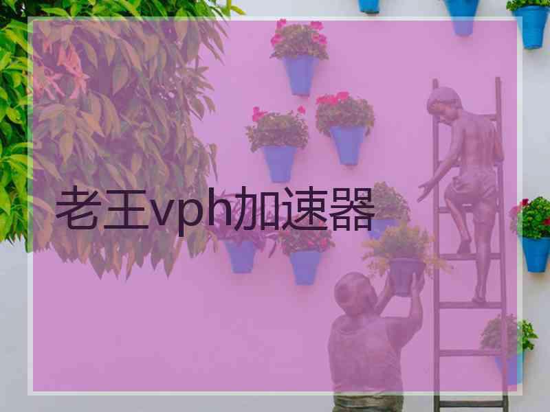 老王vph加速器