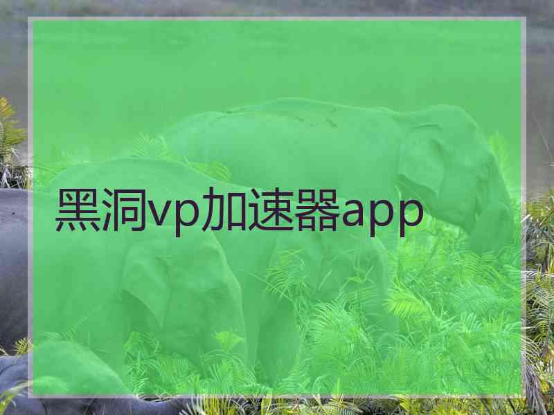 黑洞vp加速器app