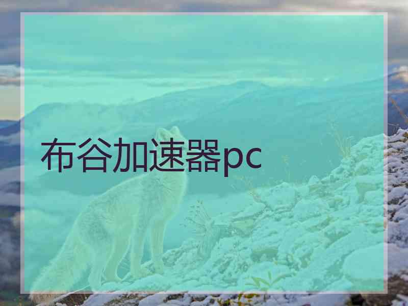 布谷加速器pc