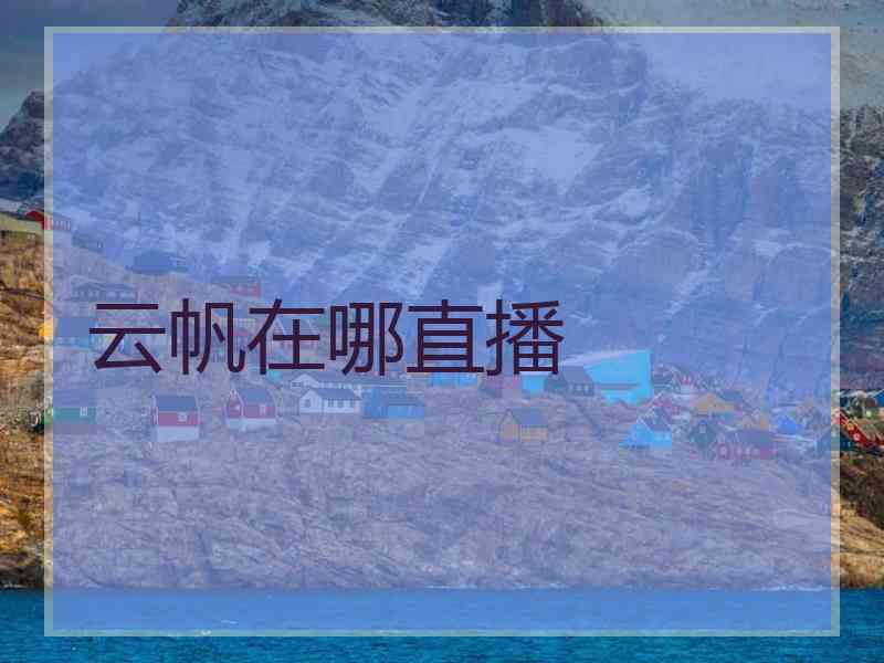云帆在哪直播