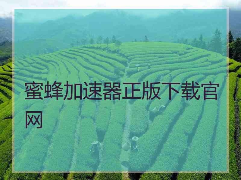 蜜蜂加速器正版下载官网
