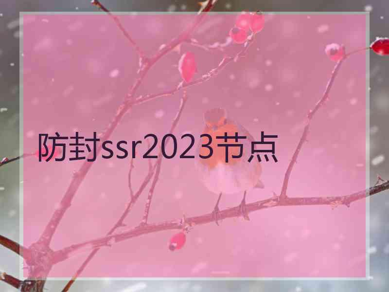 防封ssr2023节点