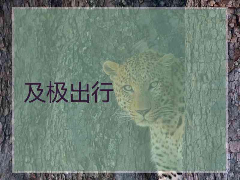 及极出行