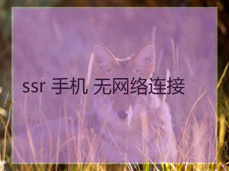 ssr 手机 无网络连接