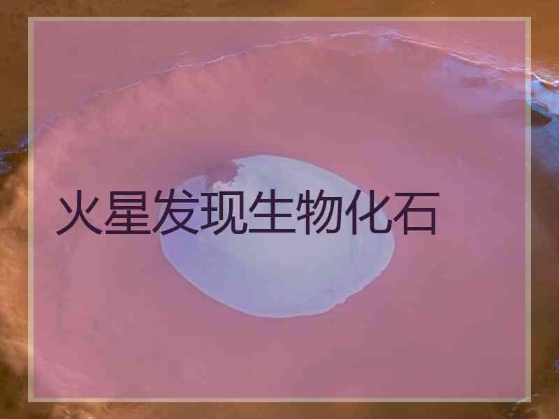 火星发现生物化石