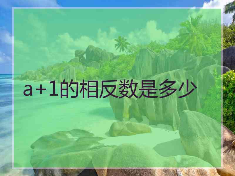 a+1的相反数是多少