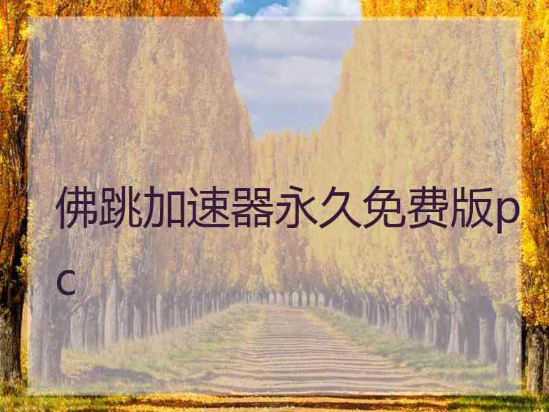 佛跳加速器永久免费版pc