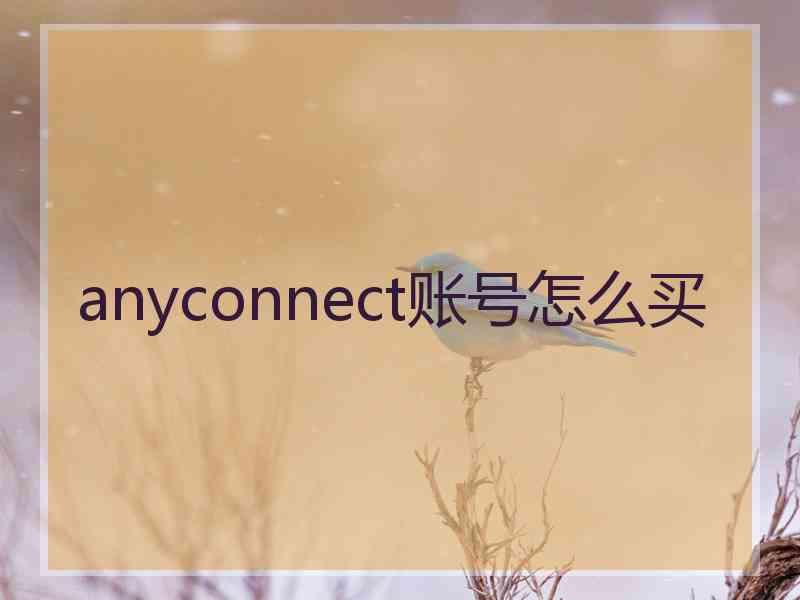 anyconnect账号怎么买
