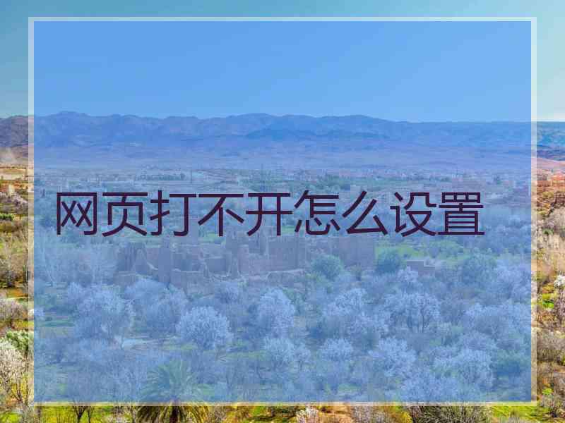 网页打不开怎么设置