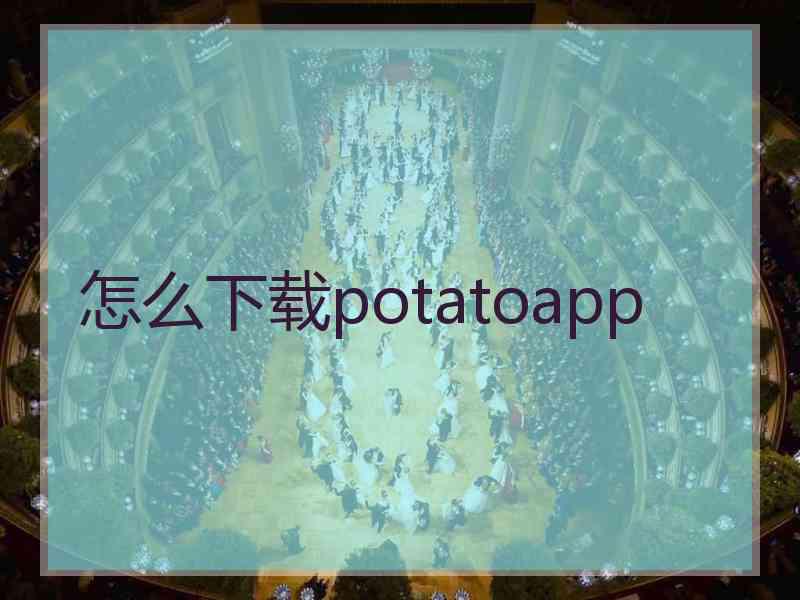 怎么下载potatoapp