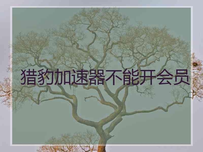 猎豹加速器不能开会员