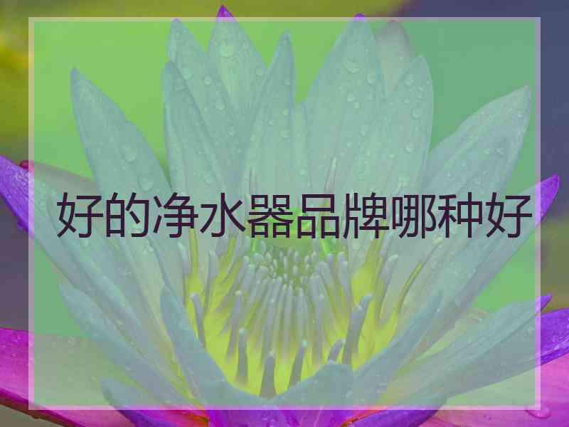 好的净水器品牌哪种好